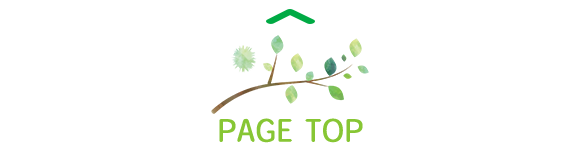 pagetop